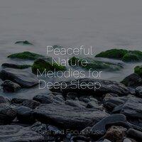 Peaceful Nature Melodies for Deep Sleep