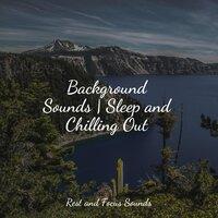 Background Sounds | Sleep and Chilling Out