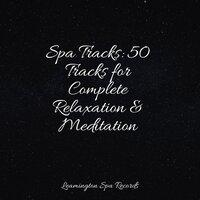 Spa Tracks: 50 Tracks for Complete Relaxation & Meditation