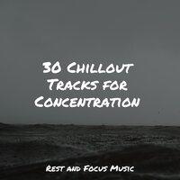30 Chillout Tracks for Concentration