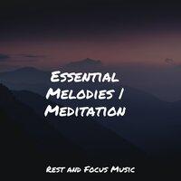 Essential Melodies | Meditation