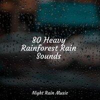 80 Heavy Rainforest Rain Sounds