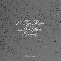 25 Zen Rain and Nature Sounds