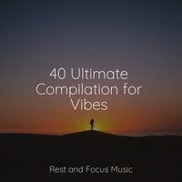 40 Ultimate Compilation for Vibes