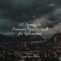 80 Spring & Summer Rain Sounds for Relaxation