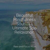 Beautiful Mindfulness Sounds | Ultimate Spa Relaxation