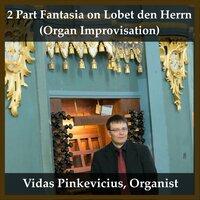 2 Part Fantasia on Lobet den Herrn (Organ Improvisation)