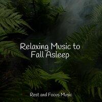 Relaxing Music to Fall Asleep