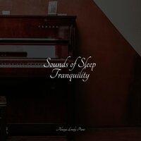 Sounds of Sleep Tranquility
