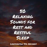 50 Relaxing Sounds for Rest and Restful Sleep