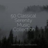 50 Classical Serenity Music Collection