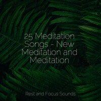 25 Meditation Songs - New Meditation and Meditation