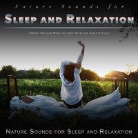 Nature Sounds for Sleep and Relaxation: Ambient Relaxing Music for Deep Sleep and Sleep Playlist