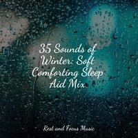 35 Sounds of Winter: Soft Comforting Sleep Aid Mix