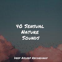 40 Sensual Nature Sounds