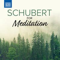 Schubert For Meditation