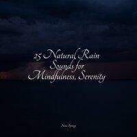 25 Natural Rain Sounds for Mindfulness, Serenity