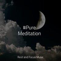#Pure Meditation