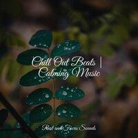 Chill Out Beats | Calming Music