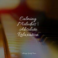 Calming Melodies | Absolute Relaxation