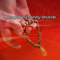 40 Regaining Sanity Sounds