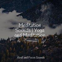 Meditation Sounds | Yoga and Meditation