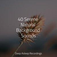 40 Serene Natural Background Sounds