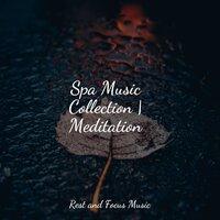 Spa Music Collection | Meditation