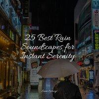 25 Best Rain Soundscapes for Instant Serenity