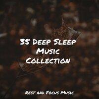 35 Deep Sleep Music Collection