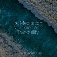 35 Meditation Melodies and Tranquility
