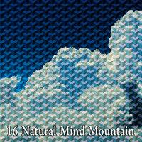 16 Гора естественного разума