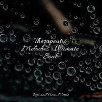 Therapeutic Melodies | Ultimate Soul