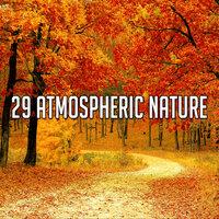 29 Атмосферная природа