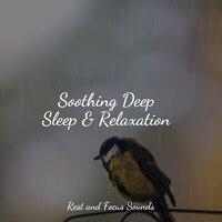 Soothing Deep Sleep & Relaxation