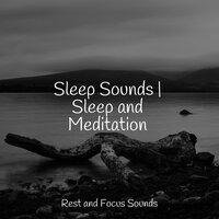 Sleep Sounds | Sleep and Meditation