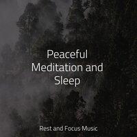 Peaceful Meditation and Sleep