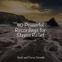 40 Powerful Recordings for Stress Relief