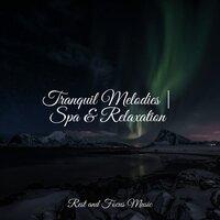 Tranquil Melodies | Spa & Relaxation