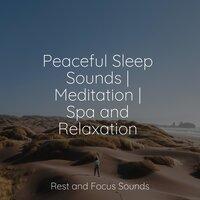 Peaceful Sleep Sounds | Meditation | Spa and Relaxation