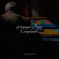 25 tranquil Piano Compilation