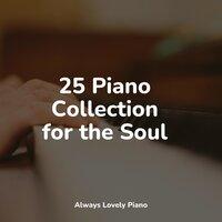 25 Piano Collection for the Soul