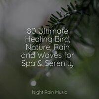 80 Ultimate Healing Bird, Nature, Rain and Waves for Spa & Serenity
