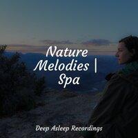 Nature Melodies | Spa