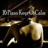 16 клавиш спокойствия фортепиано