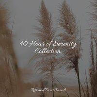 40 Hour of Serenity Collection