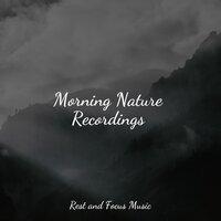 Morning Nature Recordings