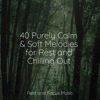 40 Purely Calm & Soft Melodies for Rest and Chilling Out