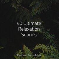 40 Ultimate Relaxation Sounds