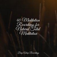 40 Meditation Recordings for Natural Total Meditation